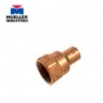 Адаптер-фитинг с внутренней резьбой 1/2 FTG x 1/2 F W01524 Mueller